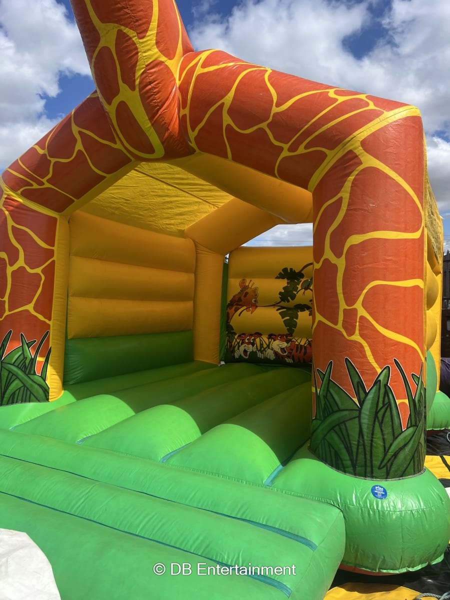 Giraffe Bouncy Castle Hire - Inflatable Funfair & Exhibition Game Hire ...
