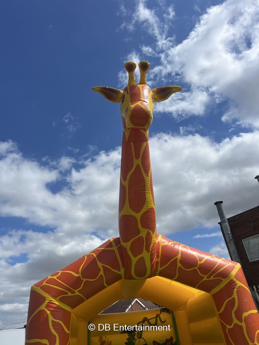 Giraffe Bouncy Castle Hire - Inflatable Funfair & Exhibition Game Hire ...