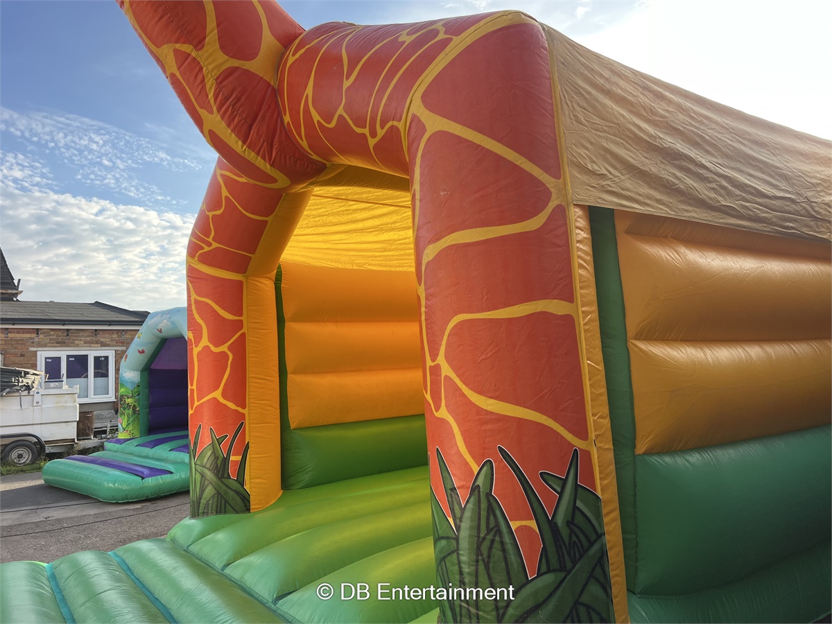 Giraffe Bouncy Castle Hire - Inflatable Funfair & Exhibition Game Hire ...