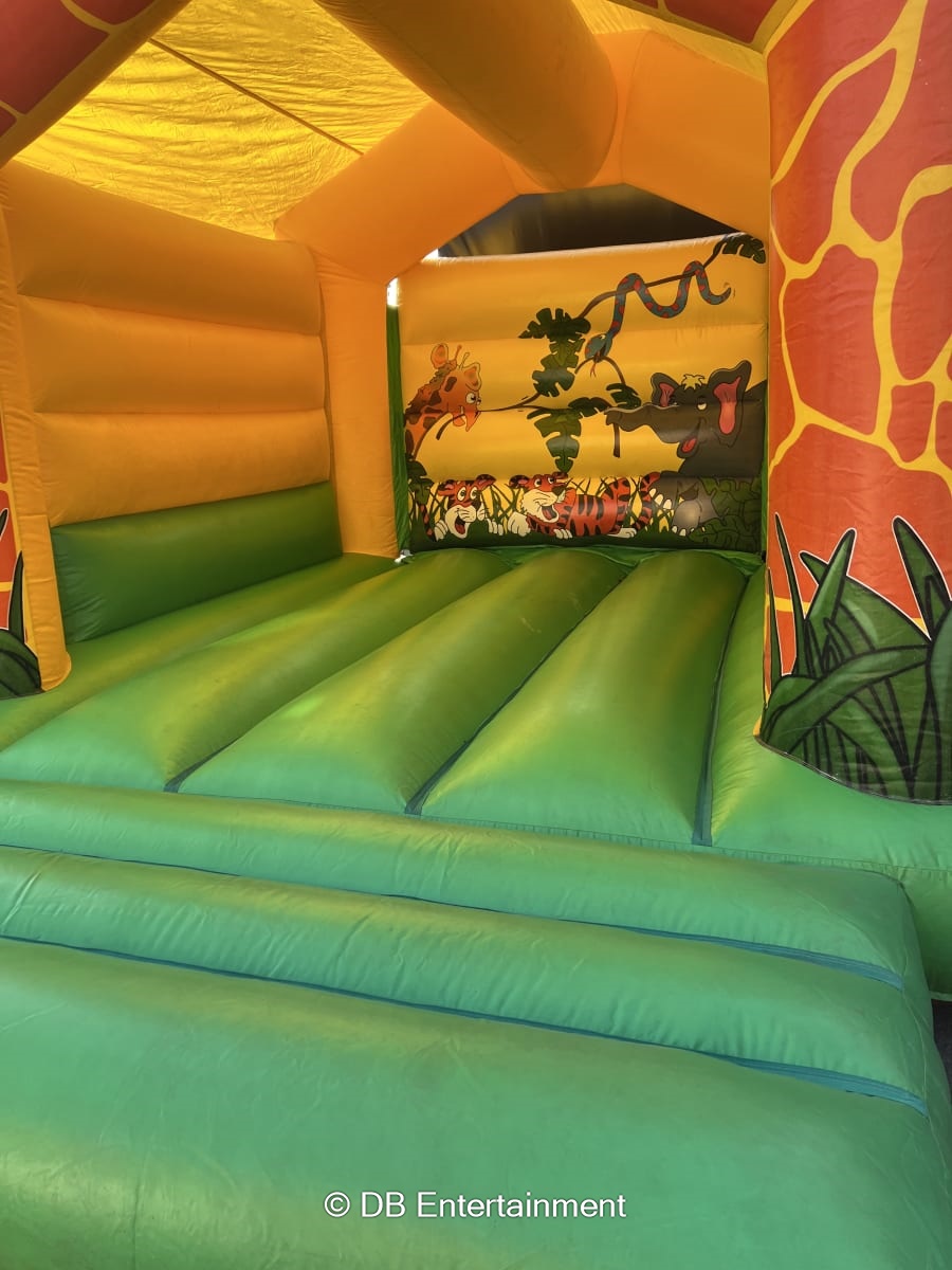 Giraffe Bouncy Castle Hire - Inflatable Funfair & Exhibition Game Hire ...