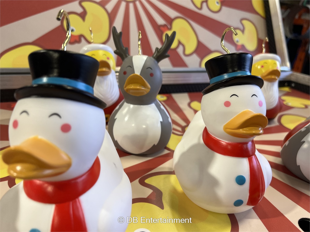 Hook A Duck Inflatable Funfair & Exhibition Game Hire UK in Sheffield