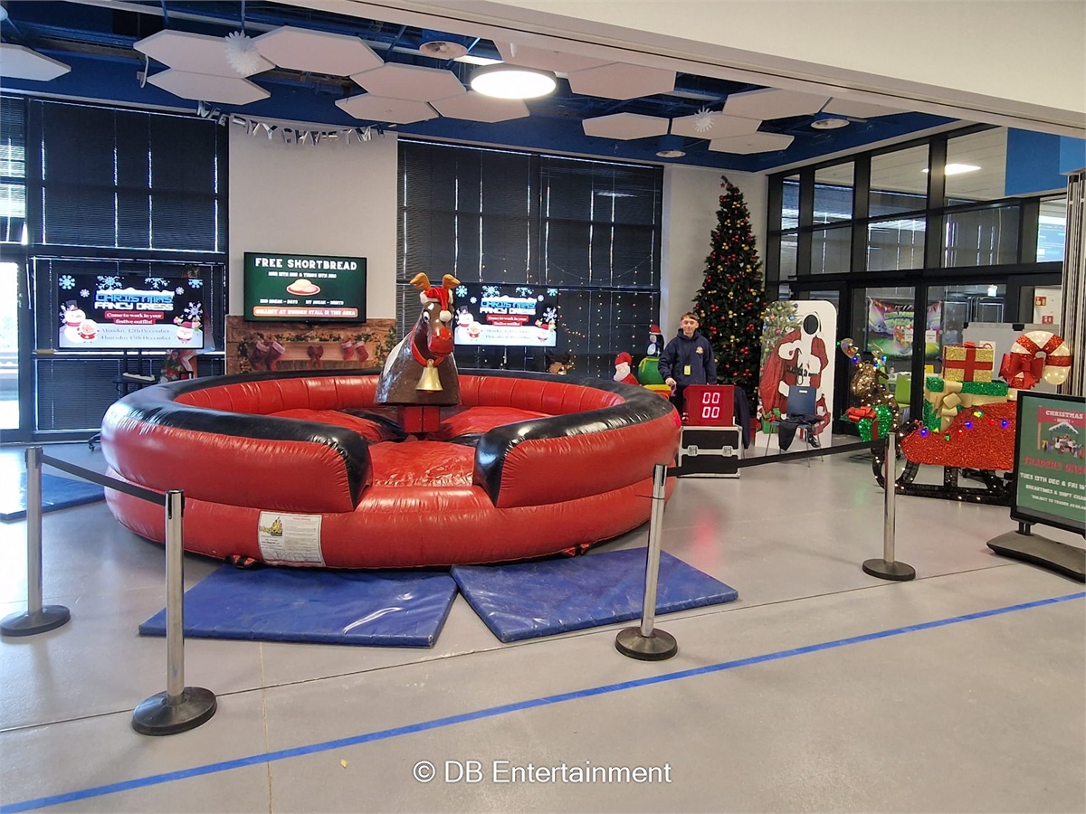 Rodeo Reindeer Hire | Christmas Party Entertainment